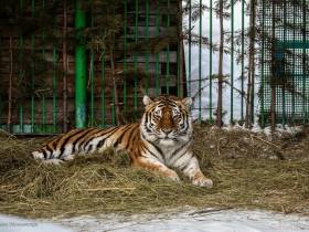 В зоопарке «Орто Дойду» грядет большое новоселье