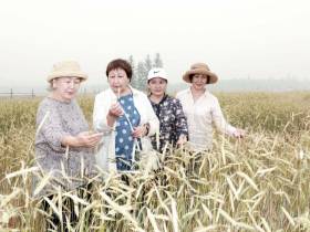 В Якутии введены новые субсидии на заготовку овощей