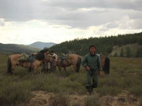 Оленевод Александра Черкашина: Олень есть - эвен есть!