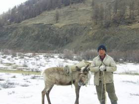 Оленевод Александра Черкашина: Олень есть - эвен есть!
