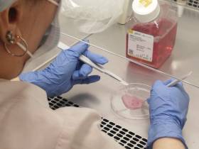 Иван Троев рассказал о своем опыте участия на ежегодном мероприятии Фонда «Сколково» Стартап-тур