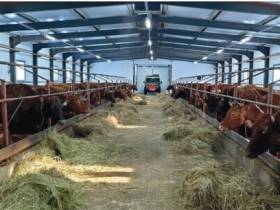 Фермерский оазис Аксинии Левиной