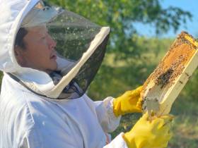 Якутская компания «Сахачай» планирует расширить поле своей деятельности