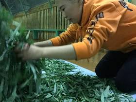 Якутская компания «Сахачай» планирует расширить поле своей деятельности