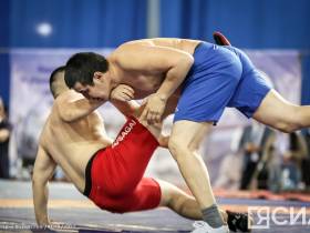 Комплекты медалей в 11 весовых категориях разыграют в "Турнире Госкомобеспечения"