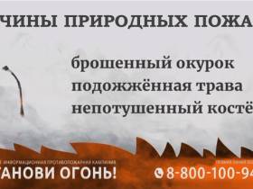 В Якутии стартовала федеральная информационная противопожарная кампания «Останови огонь!»