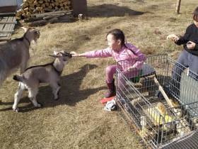 Пахомовна из села Хонуу: Я отдыхаю, когда работаю