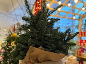 Как три якутянки с общей идеей открыли магазин