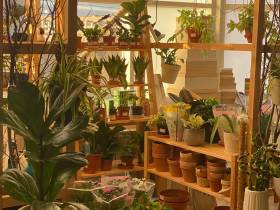 Как три якутянки с общей идеей открыли магазин