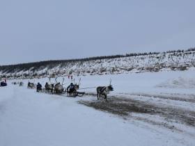 Гонки на оленях стали частью празднования Дня оленевода в Оленекском районе Якутии