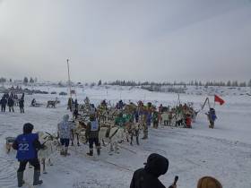 Гонки на оленях стали частью празднования Дня оленевода в Оленекском районе Якутии