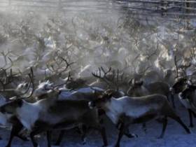 Глава Булунского района Якутии: Соглашение с "Алмазы Анабара" позволяет развиваться улусу