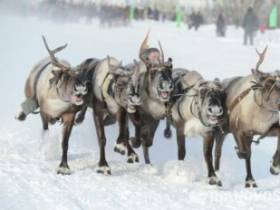 Глава Булунского района Якутии: Соглашение с "Алмазы Анабара" позволяет развиваться улусу