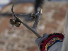 Игры Севера