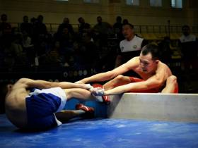 Команда села Чинэкэ выиграла турнир по мас-рестлингу среди наслегов Якутии