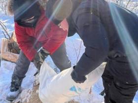 «#SAVEYAKUTIA - помоги детям природы». Уникальный проект поддержали в Якутии