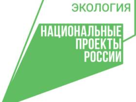 Экологический туризм в России набирает обороты