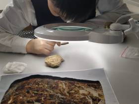 Участники экспедиции "Эллэйада" приступили к занятиям в новом корпусе Малой академии наук