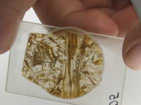 Участники экспедиции "Эллэйада" приступили к занятиям в новом корпусе Малой академии наук