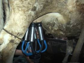 Пётр Дьяконов: Сейчас такое время, когда продукты надо производить самим