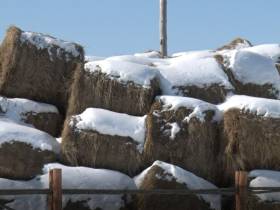 Пётр Дьяконов: Сейчас такое время, когда продукты надо производить самим