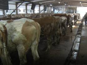 Пётр Дьяконов: Сейчас такое время, когда продукты надо производить самим