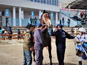 В Якутске сезон конных скачек открыли традиционным турниром