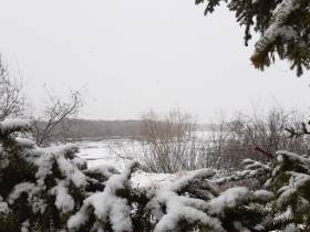 Снежное утро в Якутске 16 мая