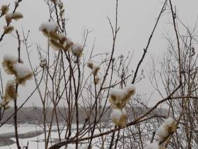 Снежное утро в Якутске 16 мая