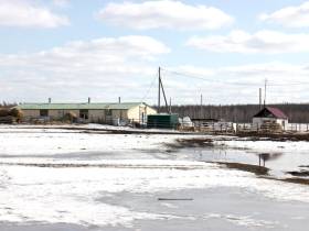 От дояра до главы хозяйства. Мугудайский фермер Илья Дьячковский о гранте "Семейная ферма"