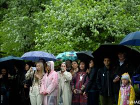 В Хабаровске с большим размахом отметили якутский национальный праздник Ысыах