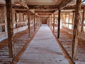 В День сайылыка в Намском улусе открыли научный центр репродукции генофонда якутского скота