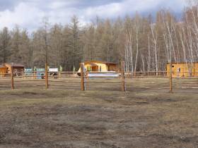 В День сайылыка в Намском улусе открыли научный центр репродукции генофонда якутского скота