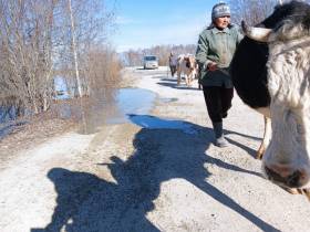 Паводок-2022. В селе Хоточчу Хангаласского района Якутии - режим повышенной готовности