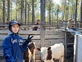 Паводок-2022. В селе Хоточчу Хангаласского района Якутии - режим повышенной готовности