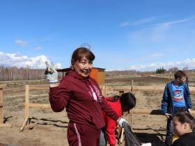 В Якутии восстанавливают популяцию лилии пенсильванской