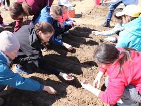 В Якутии восстанавливают популяцию лилии пенсильванской