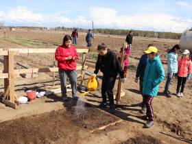 В Якутии восстанавливают популяцию лилии пенсильванской