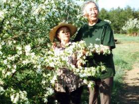 Мария Черткова - основоположник развития северного садоводства