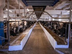 Глава Якутии отметил необходимость поддержки совхоза "Новый" в Мирнинском районе