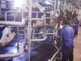 Глава Якутии отметил необходимость поддержки совхоза "Новый" в Мирнинском районе