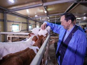 "Таких людей надо поддерживать". Глава Якутии о сунтарском предпринимателе Нине Герасимовой