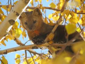 8 интересных фактов об особо охраняемых природных территориях Якутии