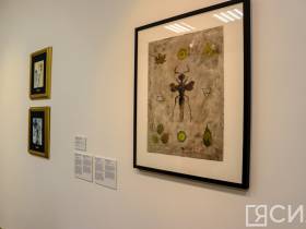 Более 90 произведений из собрания Московского музея современного искусства выставили в Якутске