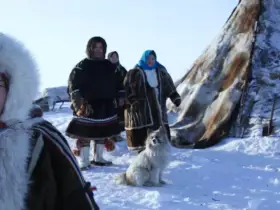 Юкагирский поэт Николай Курилов стал героем документального фильма о людях Арктики