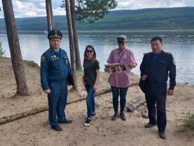 Сжигание сухой травы стало причиной возгорания во дворе дома в Ленске