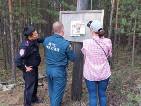 Сжигание сухой травы стало причиной возгорания во дворе дома в Ленске
