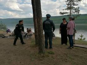 Сжигание сухой травы стало причиной возгорания во дворе дома в Ленске