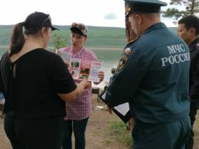 Сжигание сухой травы стало причиной возгорания во дворе дома в Ленске