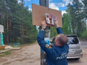 Сжигание сухой травы стало причиной возгорания во дворе дома в Ленске